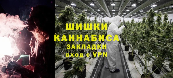 стаф Абинск